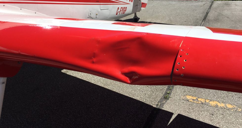 Plane-Bird Strike Damage Reveals Scary Drone Hit Potential